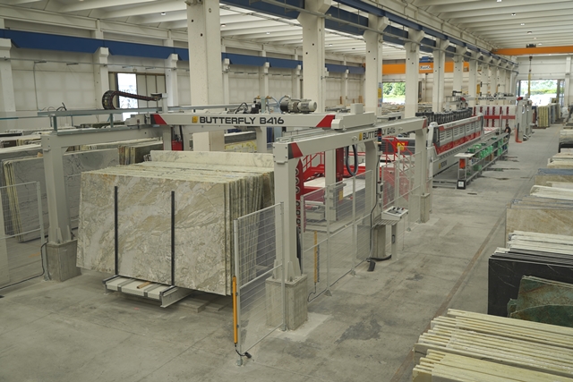 dsc05653_buuterfly_web